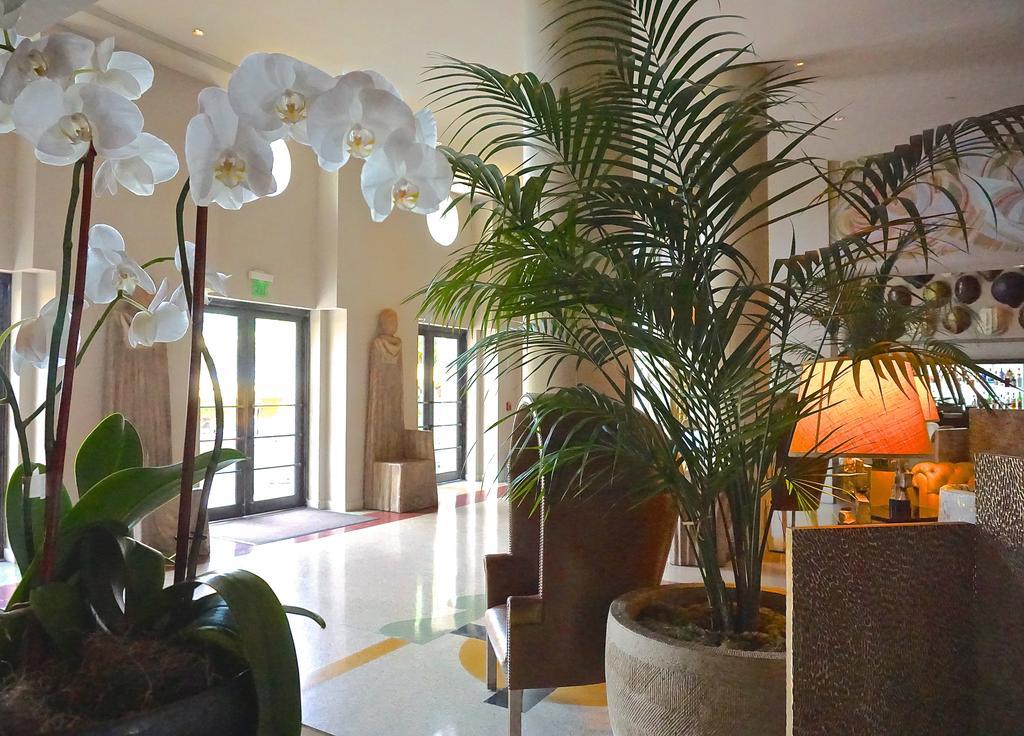 Tides South Beach Miami Beach Ngoại thất bức ảnh